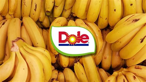 escortdole|Escort Dole 